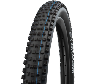 Schwalbe plášť Wicked Will Evolution 62-622, TE   černý