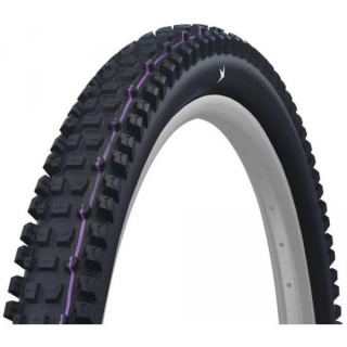 plášť Schwalbe Albert 29x2.50 GRAVITY PRO TLR UltraSoft